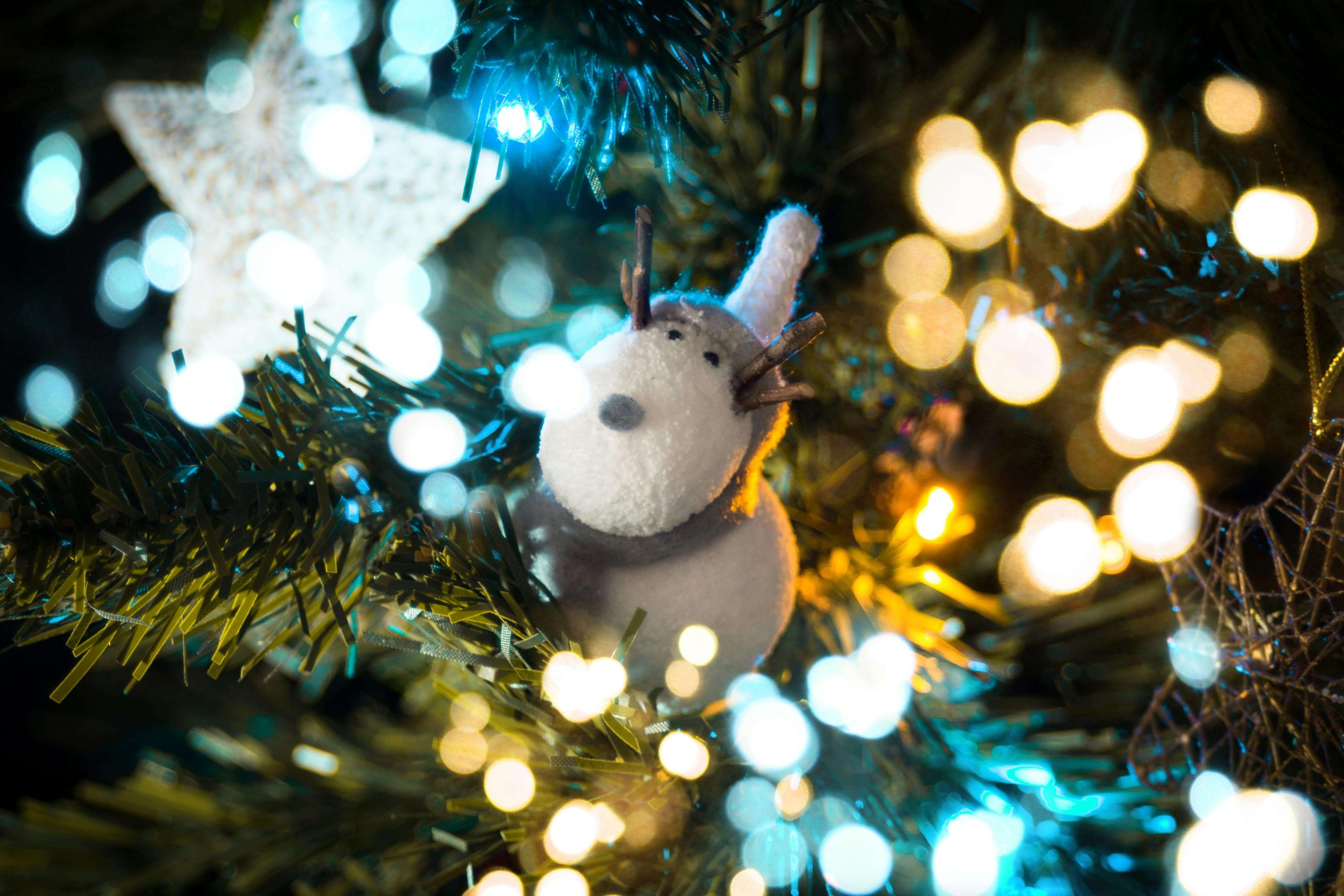 Close-up of a holiday tree with soft glowing lights and a small reindeer ornament, reflecting the bittersweet emotions discussed in psychiatry for grief in Tempe, AZ.
